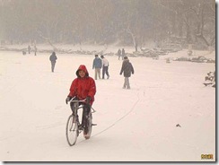 贴几张较早前的照片吧（结冰的未名湖、大雪、二八）