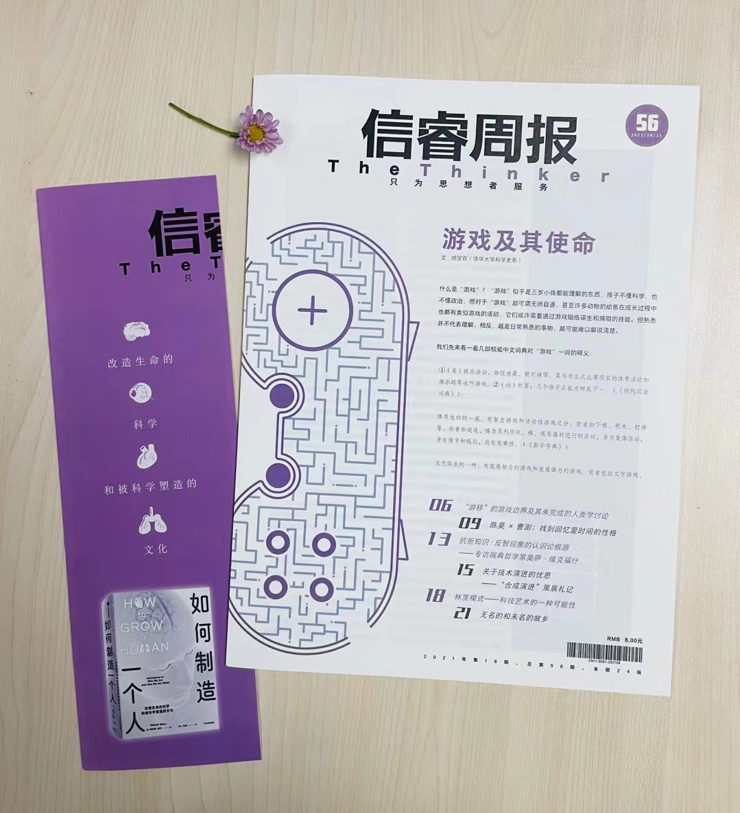 游戏及其使命
